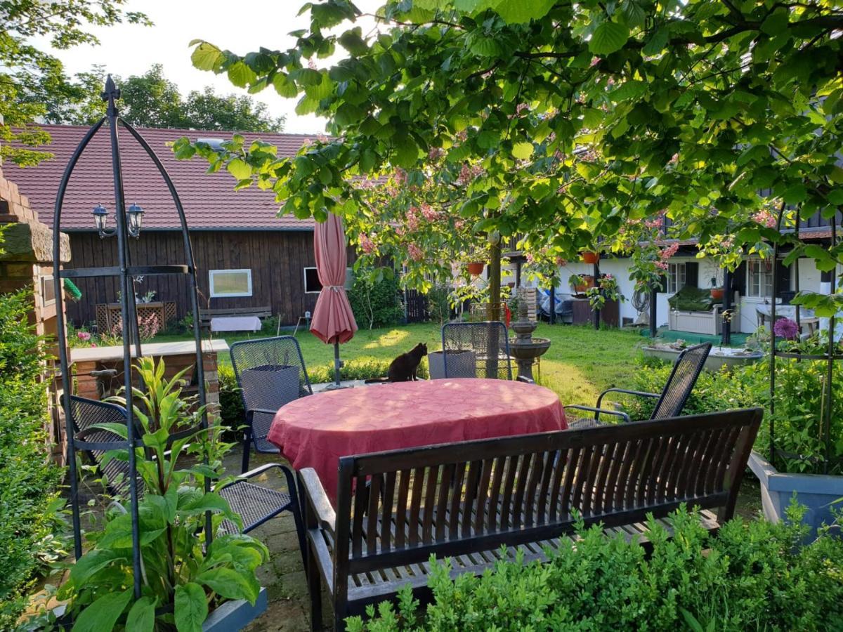 Apartamento Im Dreilaendereck - Dom Przy Trzech Granicach Leśna Exterior foto