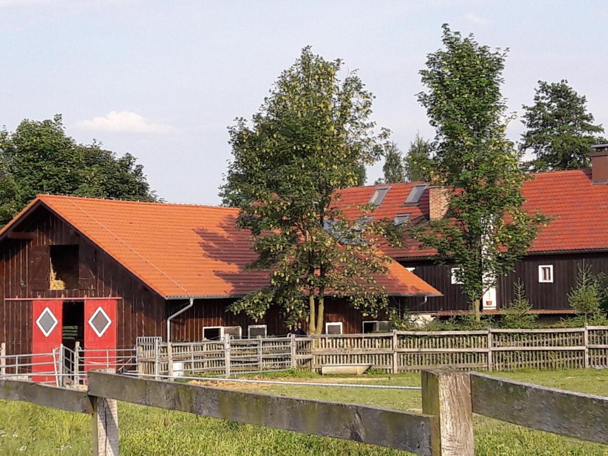 Apartamento Im Dreilaendereck - Dom Przy Trzech Granicach Leśna Exterior foto