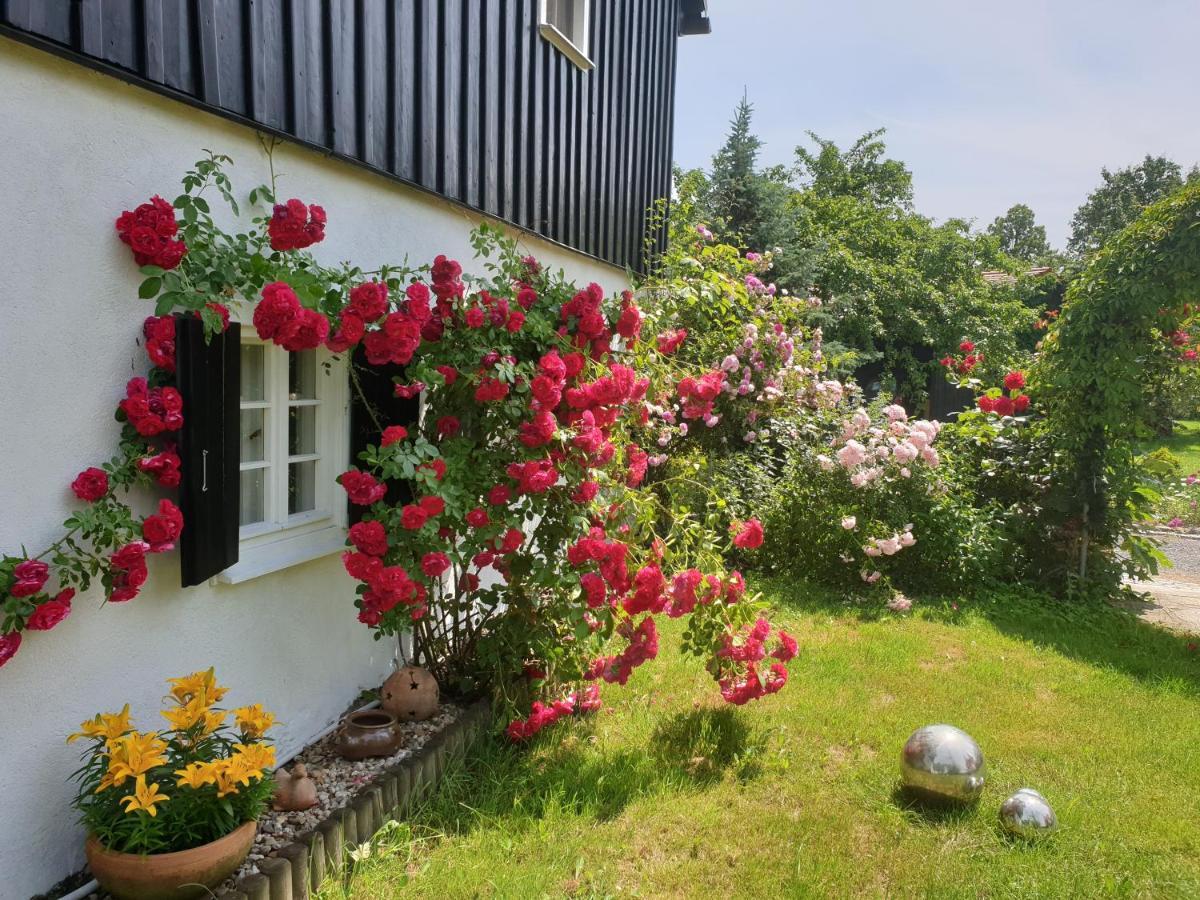 Apartamento Im Dreilaendereck - Dom Przy Trzech Granicach Leśna Exterior foto