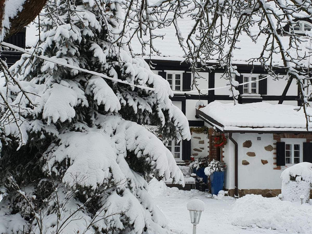 Apartamento Im Dreilaendereck - Dom Przy Trzech Granicach Leśna Exterior foto
