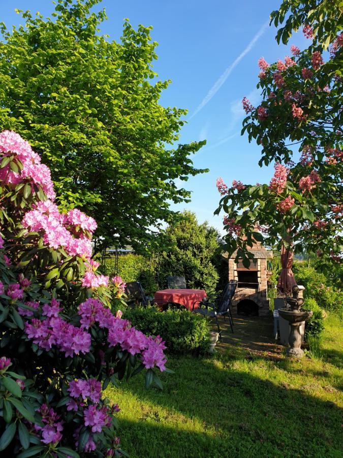 Apartamento Im Dreilaendereck - Dom Przy Trzech Granicach Leśna Exterior foto